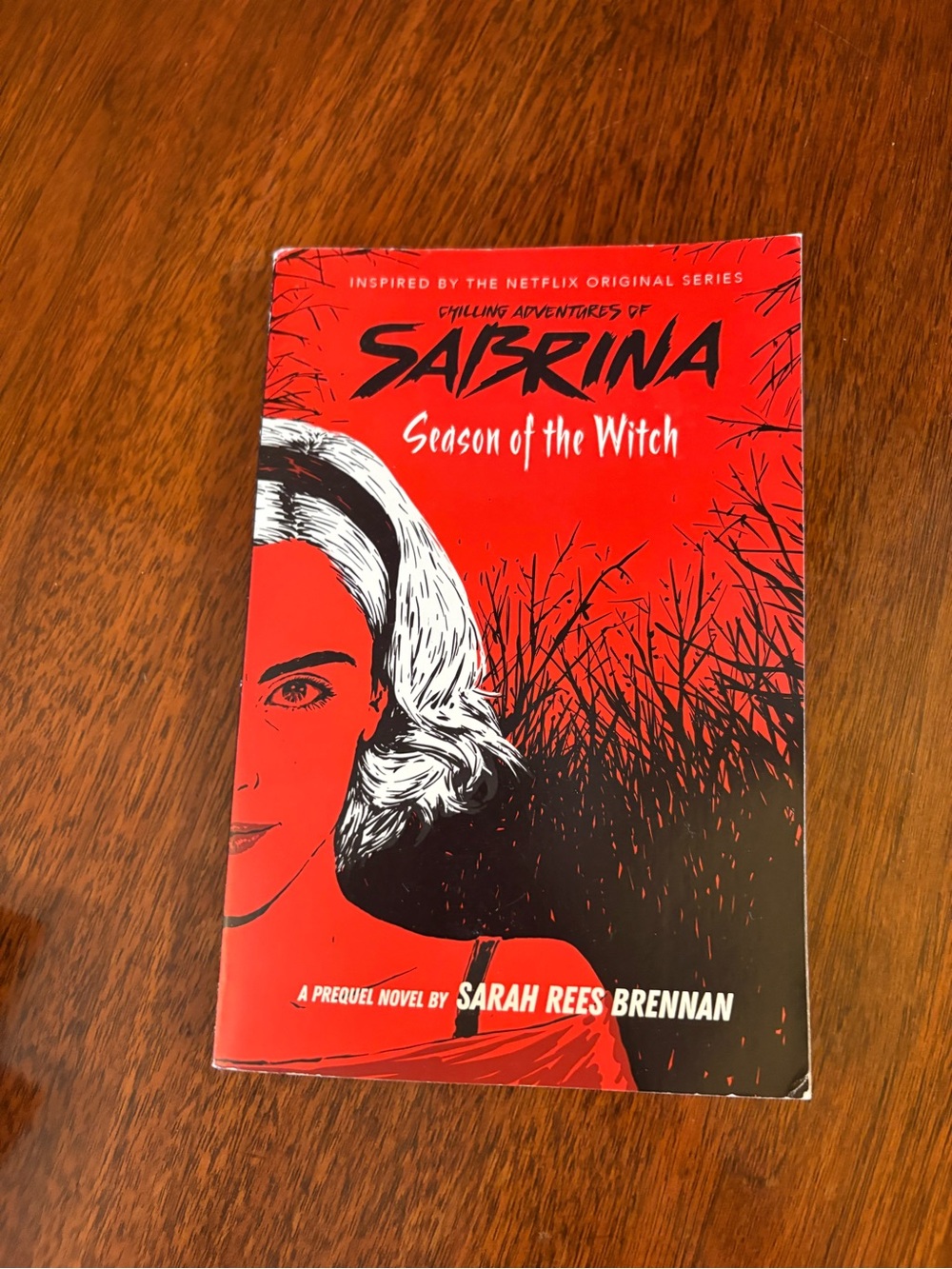 3/$20 Sabrina Season of the Witch by Sarah Rees Brennan Paperback Novel